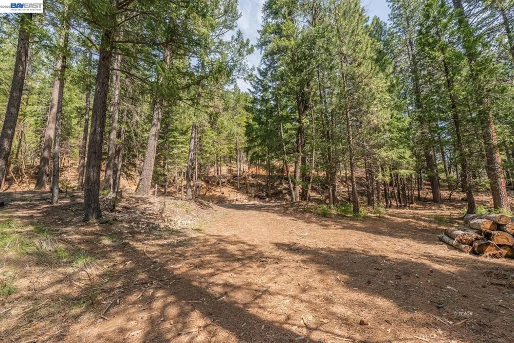 121 Mountain Aire Ln Trinity Center, CA 96091