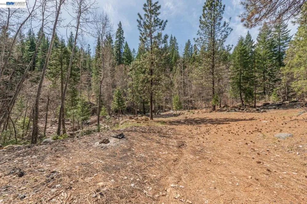 121 Mountain Aire Ln Trinity Center, CA 96091