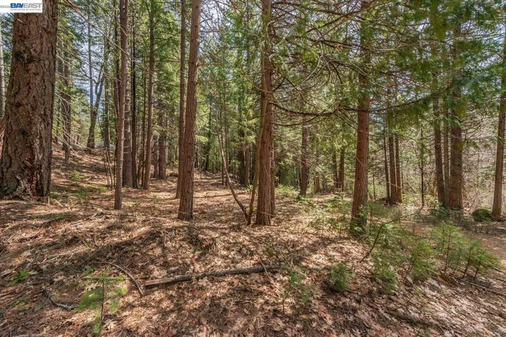 121 Mountain Aire Ln Trinity Center, CA 96091