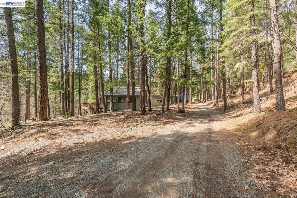 121 Mountain Aire Ln Trinity Center, CA 96091