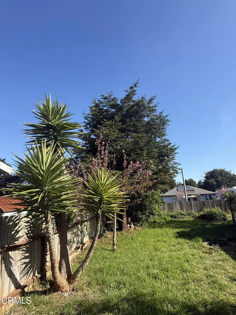 1361 E Oak Street Fort Bragg, CA 95437