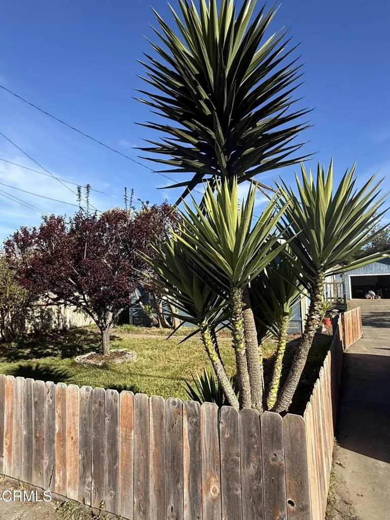1361 E Oak Street Fort Bragg, CA 95437