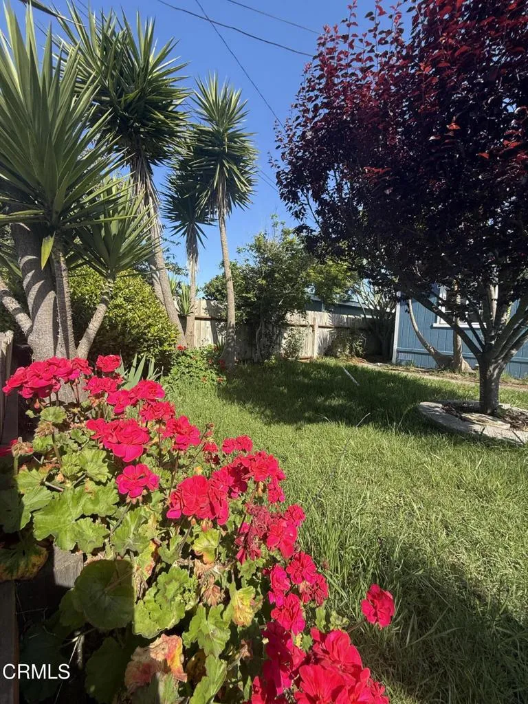 1361 E Oak Street Fort Bragg, CA 95437