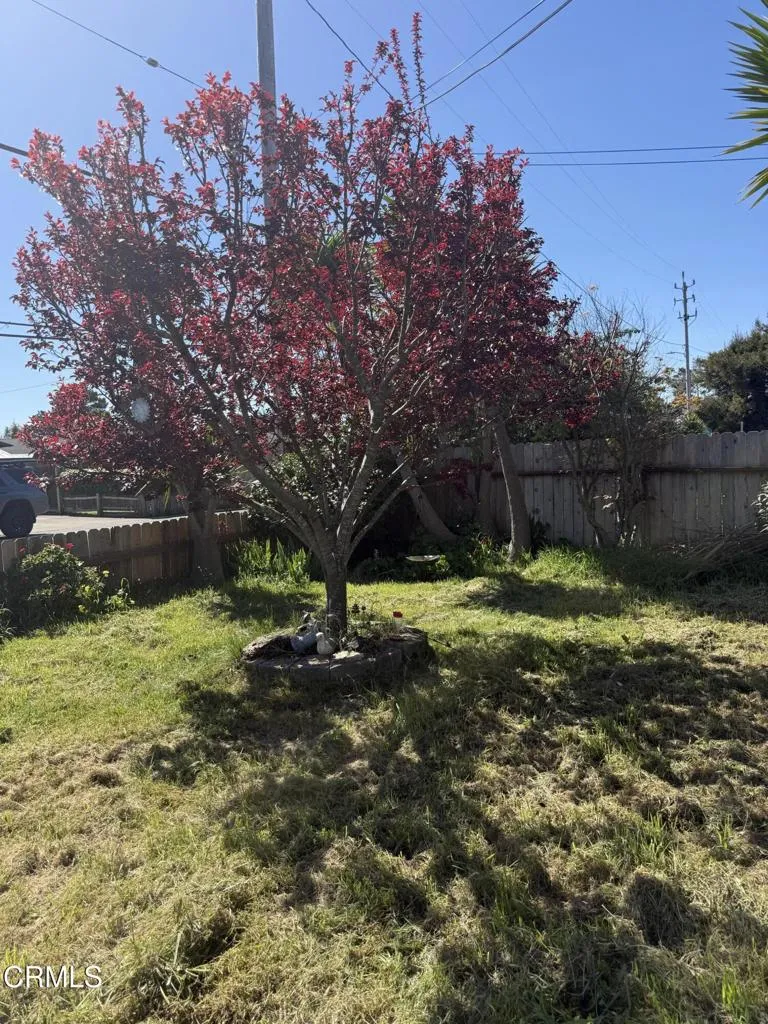 1361 E Oak Street Fort Bragg, CA 95437