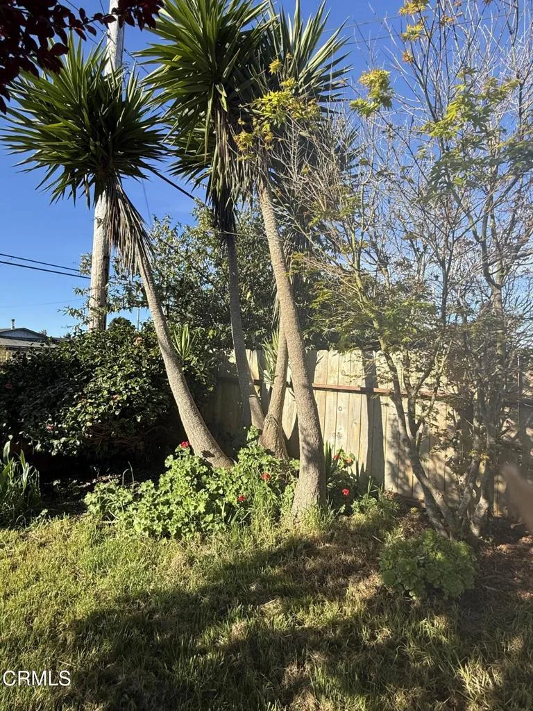 1361 E Oak Street Fort Bragg, CA 95437