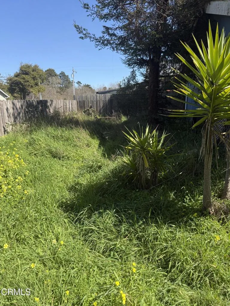 1361 E Oak Street Fort Bragg, CA 95437