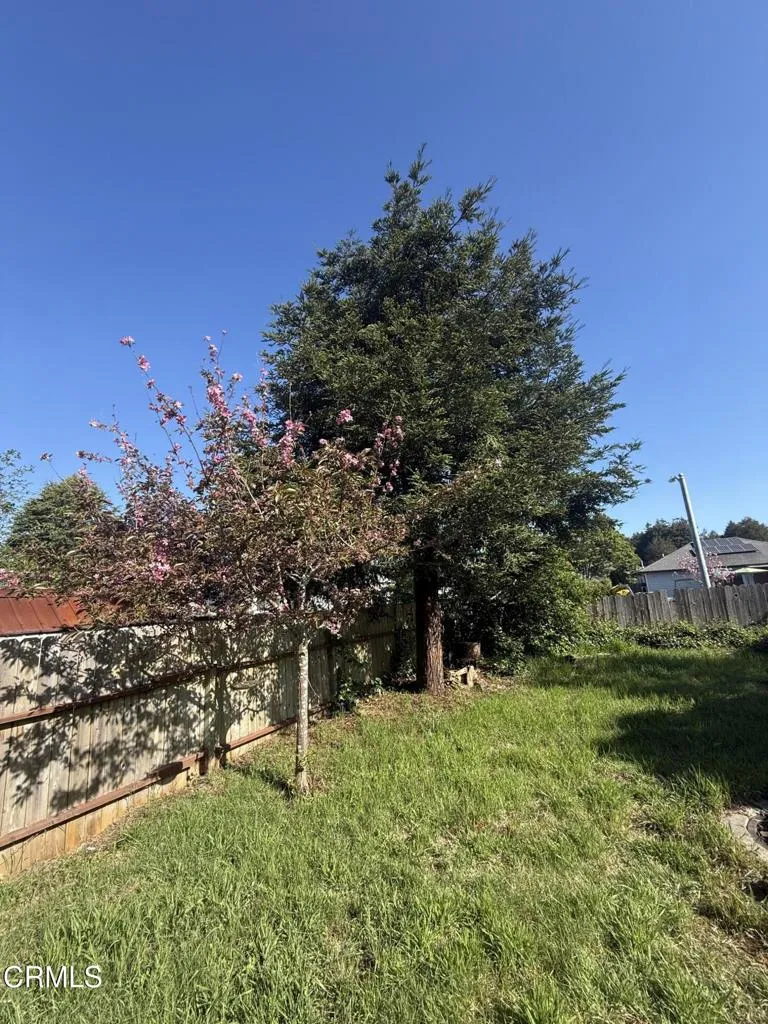 1361 E Oak Street Fort Bragg, CA 95437