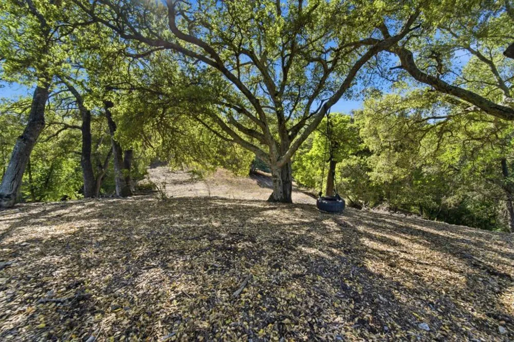 15400 Madrone Hill Road Saratoga, CA 95070
