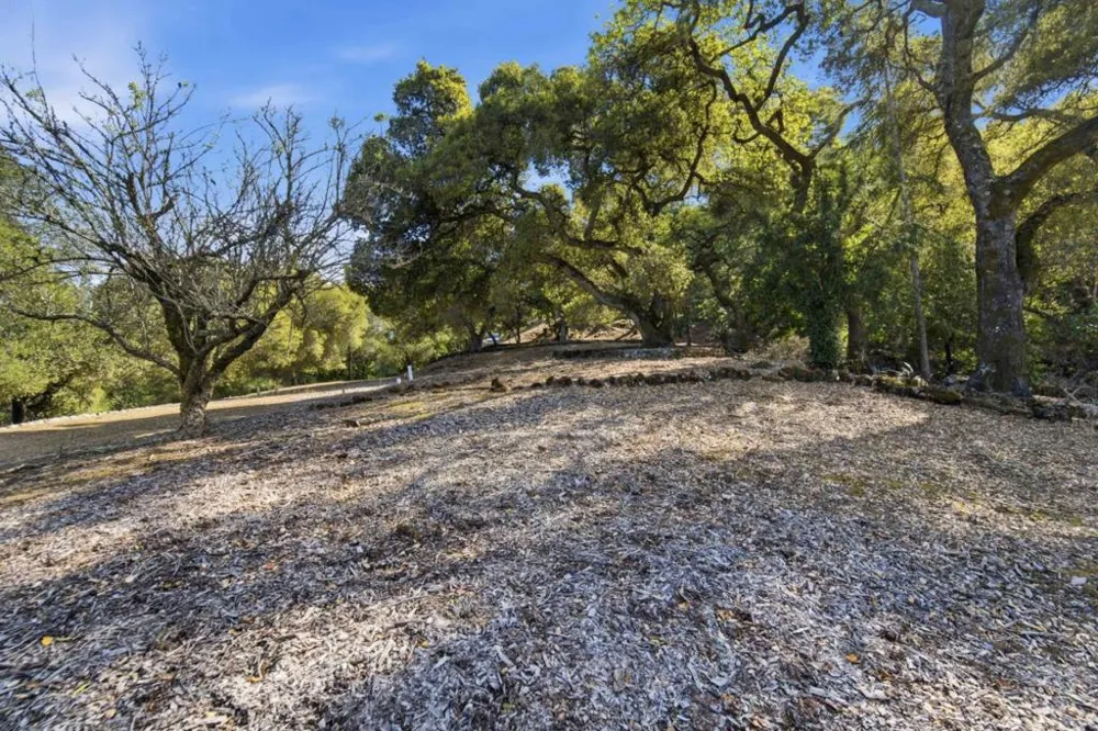 15400 Madrone Hill Road Saratoga, CA 95070