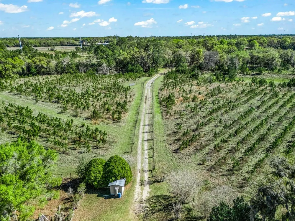 6350 NE 86TH AVENUE Bronson, FL 32621