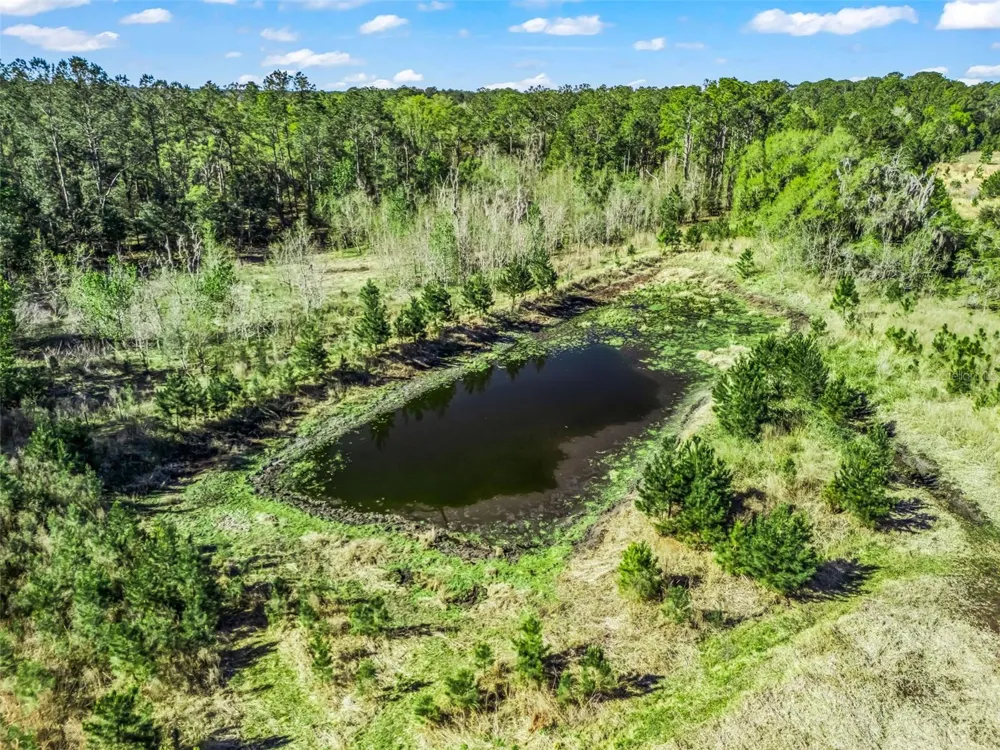 6350 NE 86TH AVENUE Bronson, FL 32621