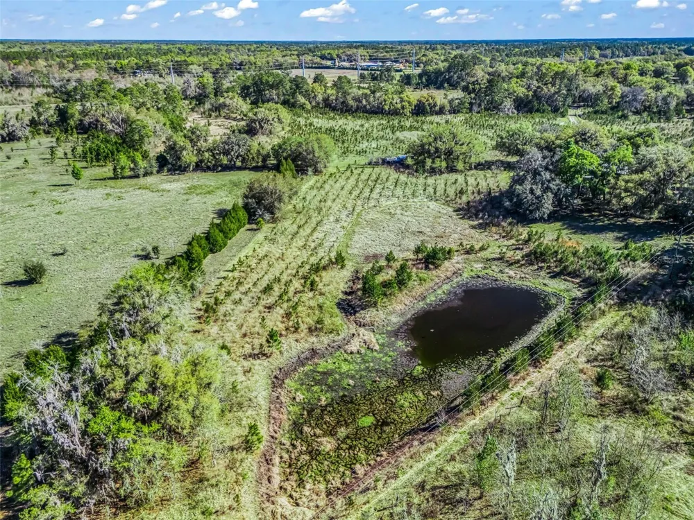 6350 NE 86TH AVENUE Bronson, FL 32621