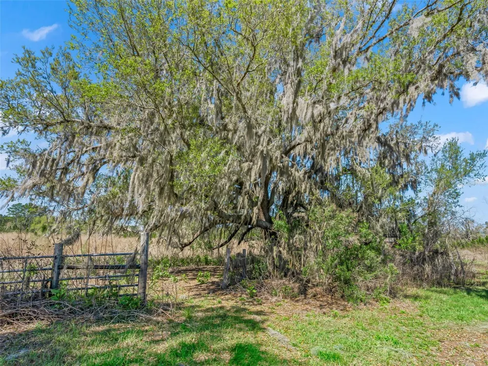 6350 NE 86TH AVENUE Bronson, FL 32621
