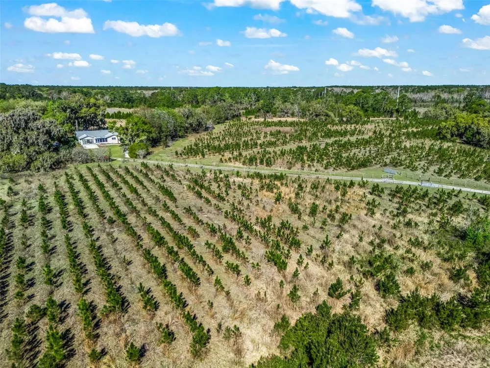 6350 NE 86TH AVENUE Bronson, FL 32621
