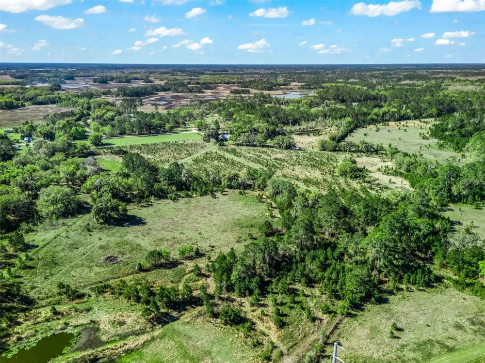 6350 NE 86TH AVENUE Bronson, FL 32621