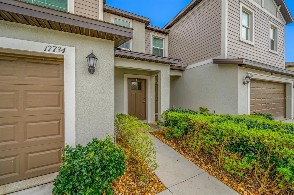 17734 NECTAR FLUME DRIVE Land O Lakes, FL 34638