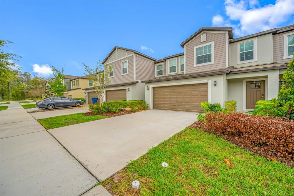 17734 NECTAR FLUME DRIVE Land O Lakes, FL 34638