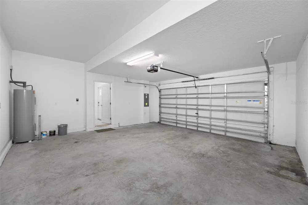 17734 NECTAR FLUME DRIVE Land O Lakes, FL 34638