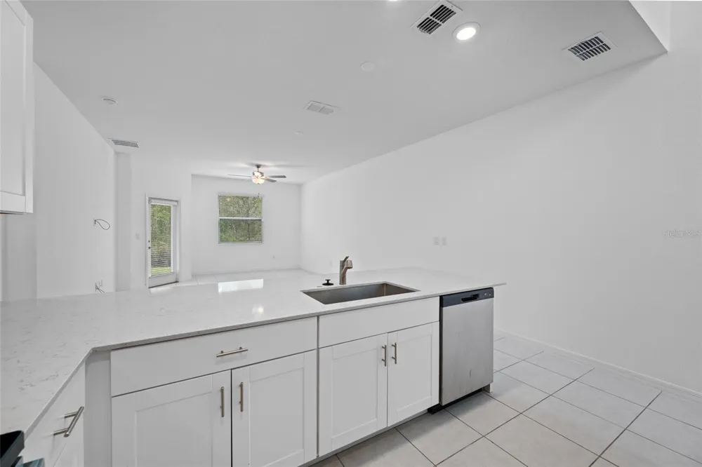 17734 NECTAR FLUME DRIVE Land O Lakes, FL 34638