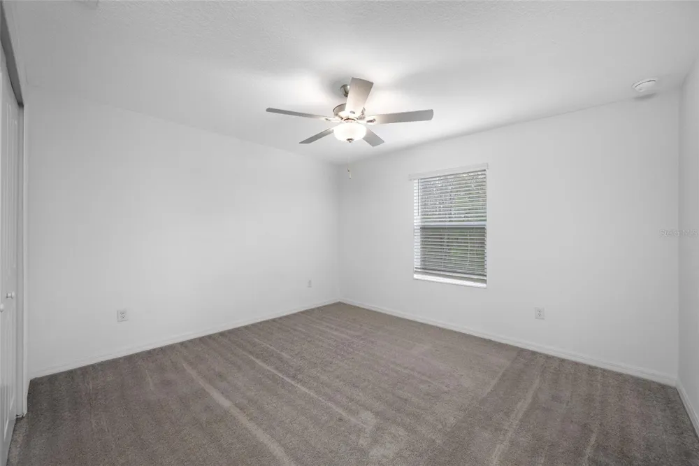 17734 NECTAR FLUME DRIVE Land O Lakes, FL 34638