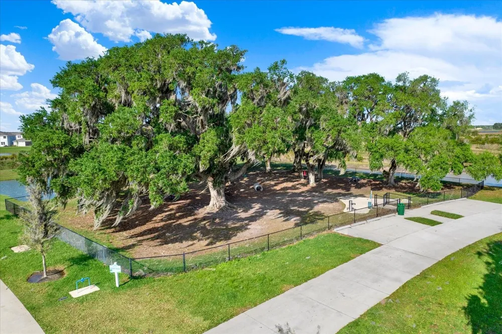 11307 LINDEN DEPOT ROAD San Antonio, FL 33576