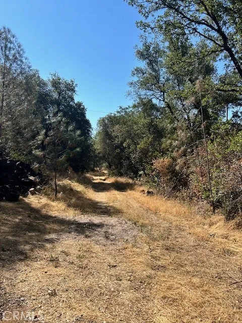 1403 Forbestown Oroville, CA 95966