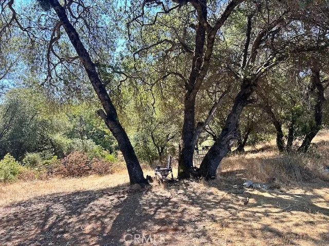 1403 Forbestown Oroville, CA 95966