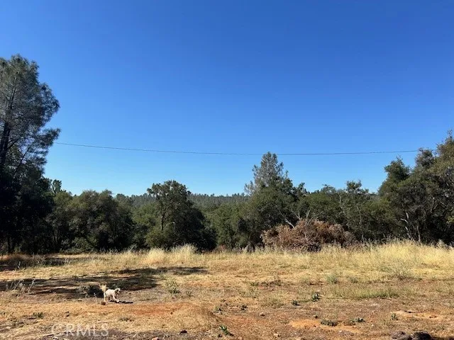 1403 Forbestown Oroville, CA 95966