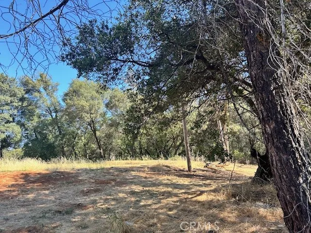1403 Forbestown Oroville, CA 95966