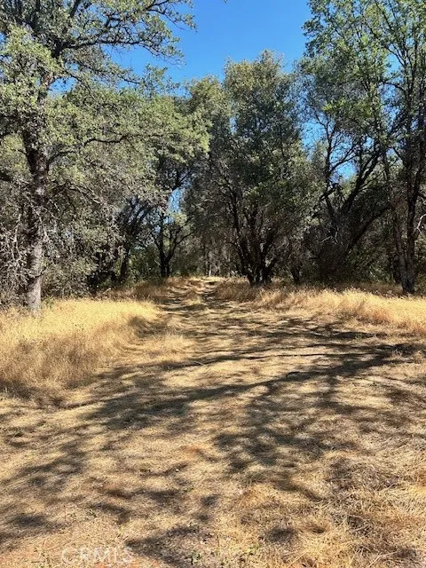 1403 Forbestown Oroville, CA 95966