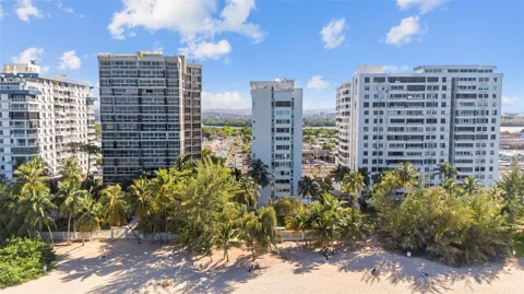 4429 AVE. ISLA VERDE #1103