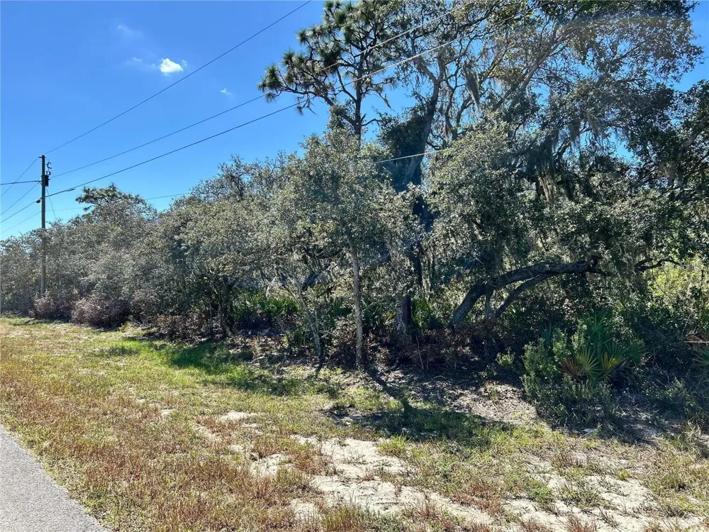 WOODSTORK WAY Frostproof, FL 33843