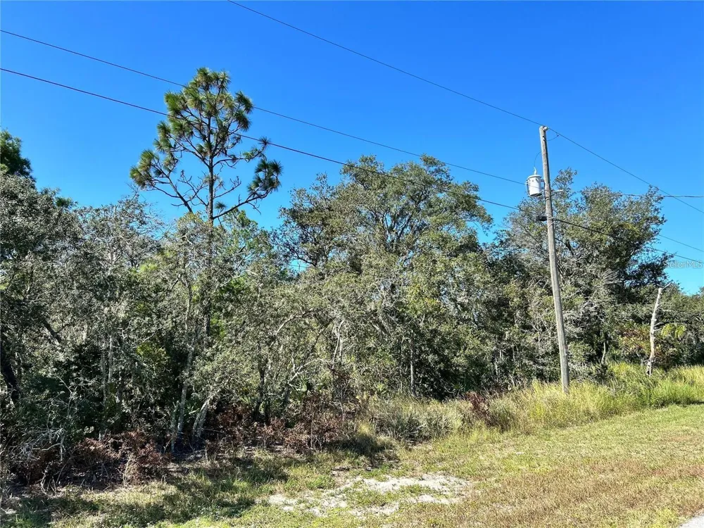 WOODSTORK WAY Frostproof, FL 33843