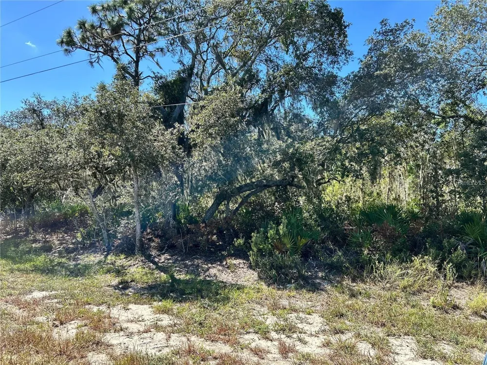 WOODSTORK WAY Frostproof, FL 33843