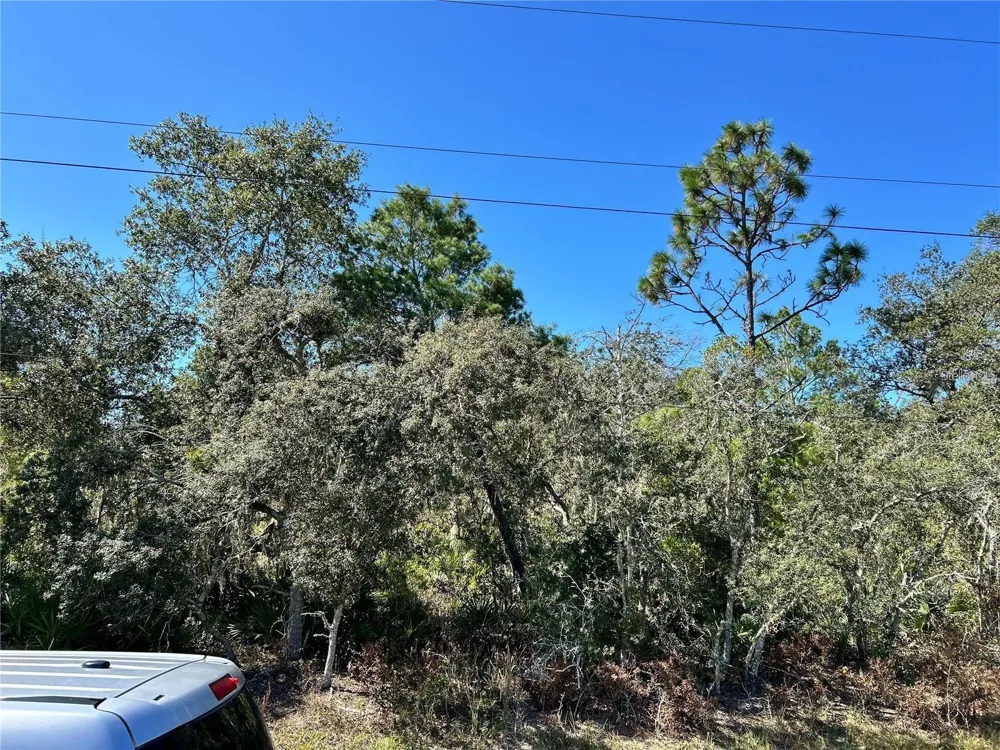 WOODSTORK WAY Frostproof, FL 33843