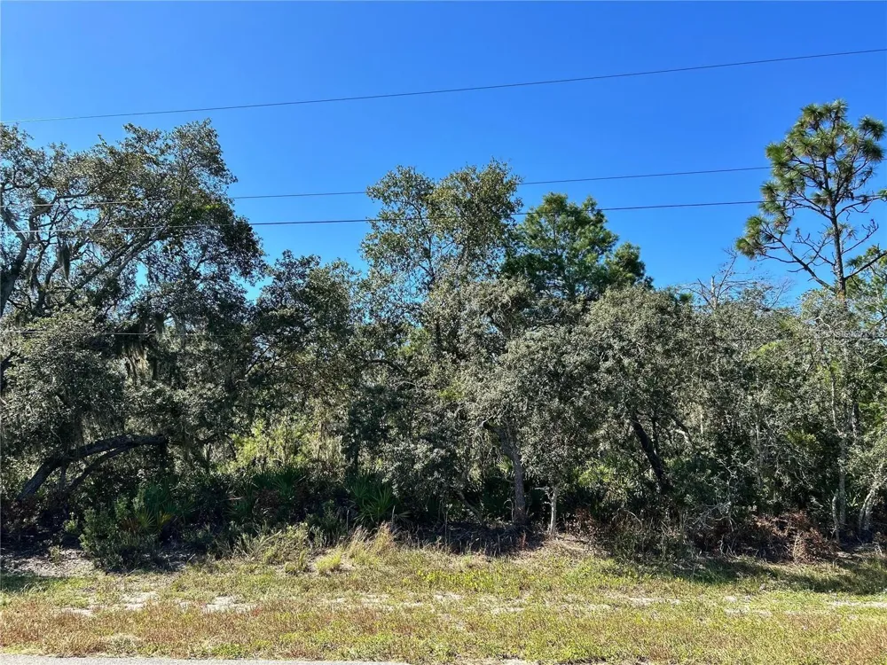 WOODSTORK WAY Frostproof, FL 33843