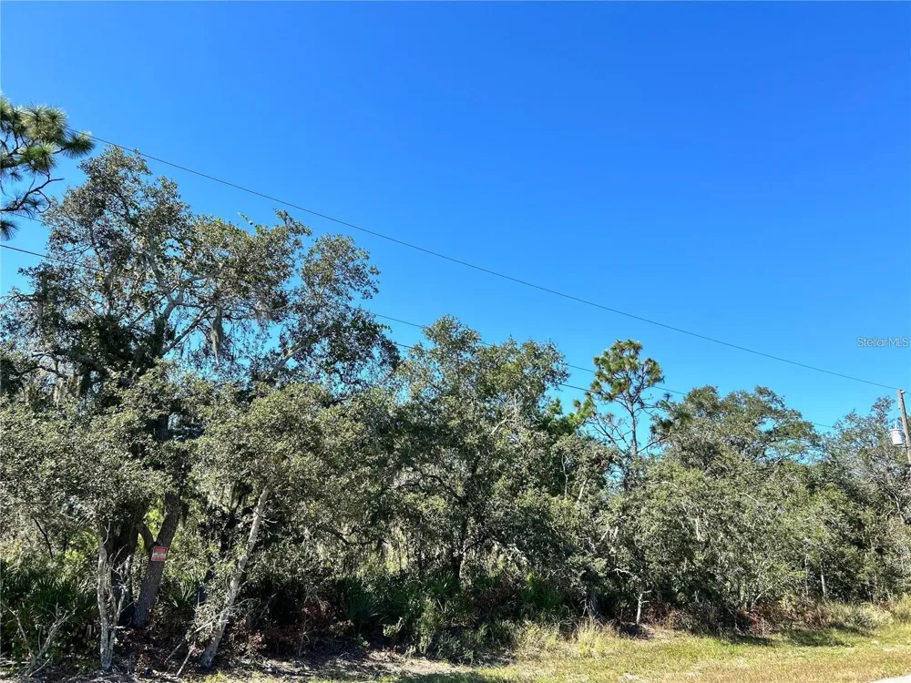 WOODSTORK WAY Frostproof, FL 33843