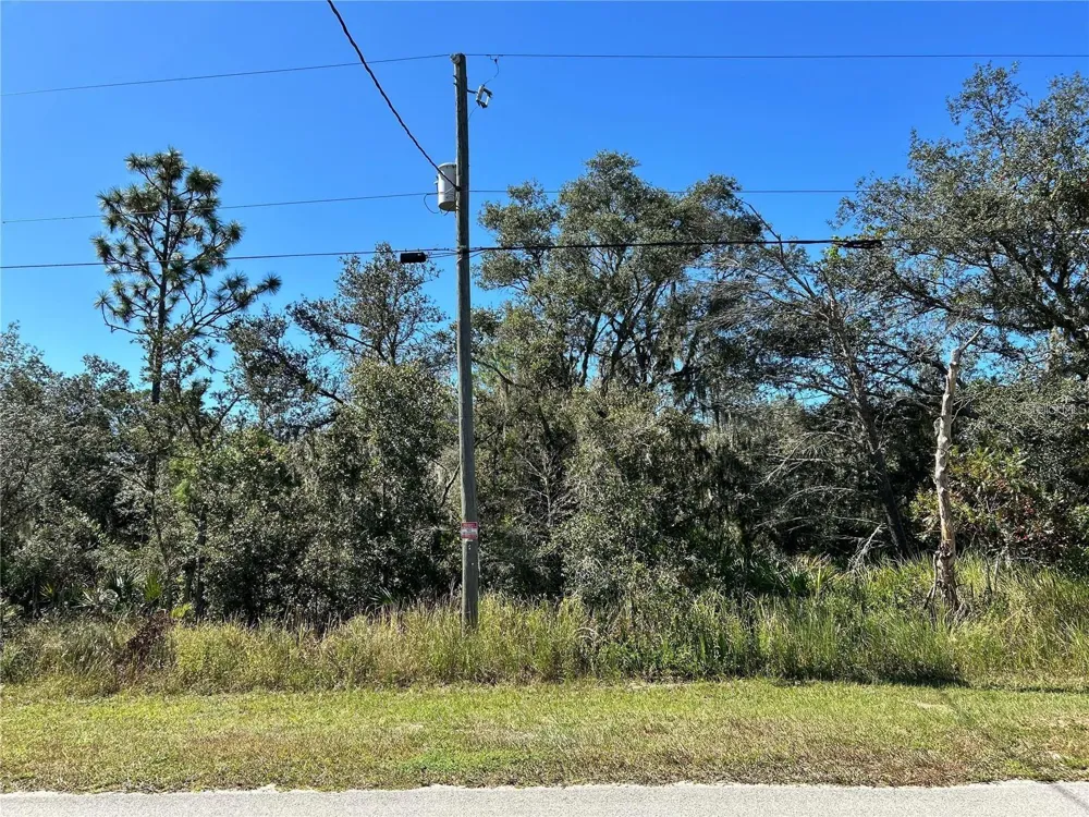 WOODSTORK WAY Frostproof, FL 33843