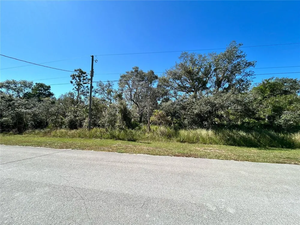WOODSTORK WAY Frostproof, FL 33843