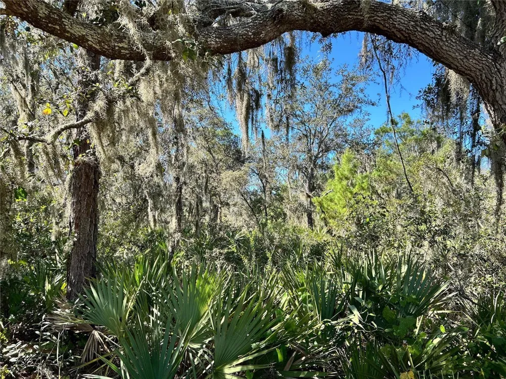 WOODSTORK WAY Frostproof, FL 33843