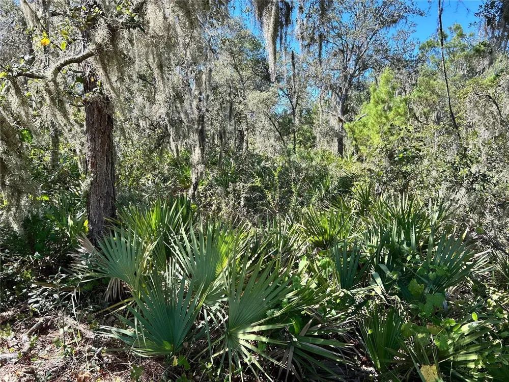 WOODSTORK WAY Frostproof, FL 33843