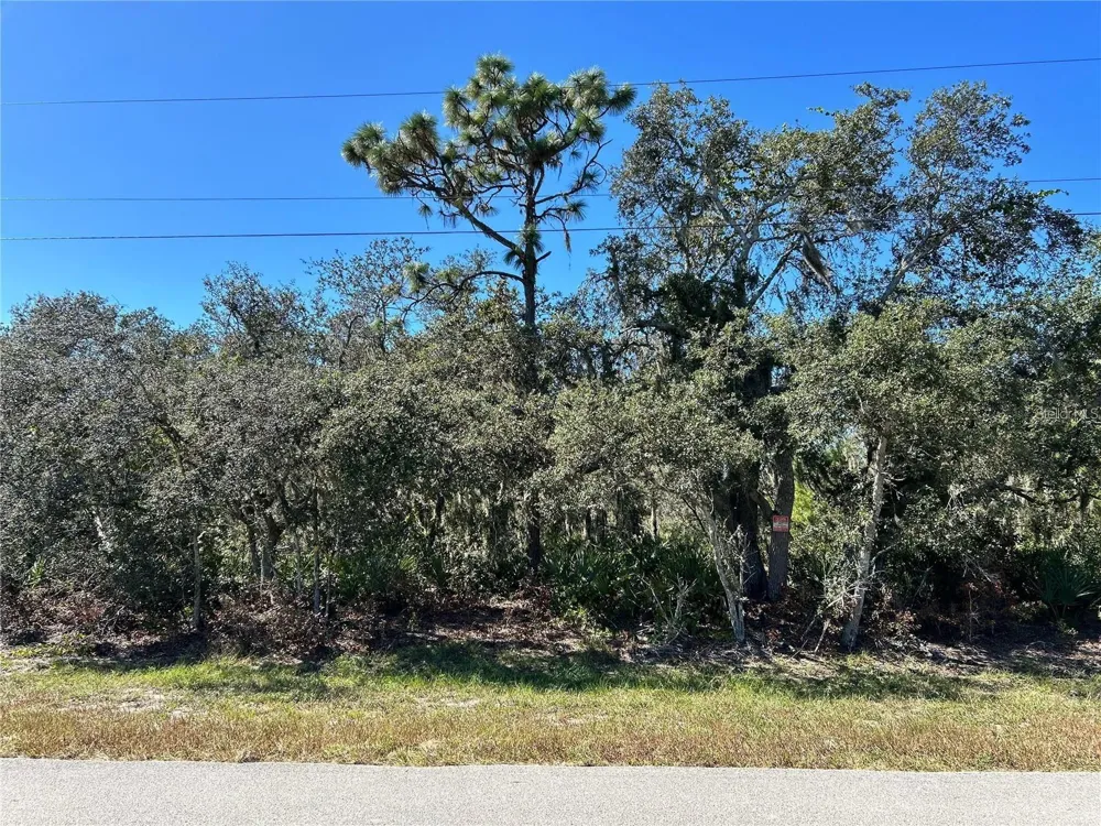 WOODSTORK WAY Frostproof, FL 33843