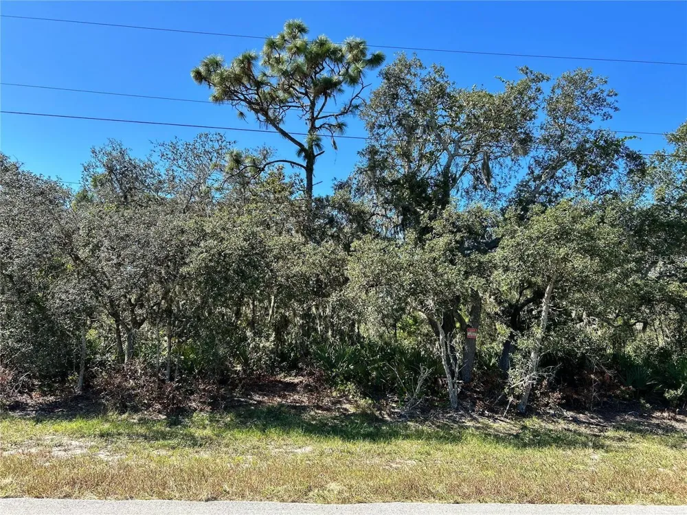 WOODSTORK WAY Frostproof, FL 33843