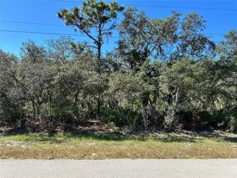 WOODSTORK WAY
