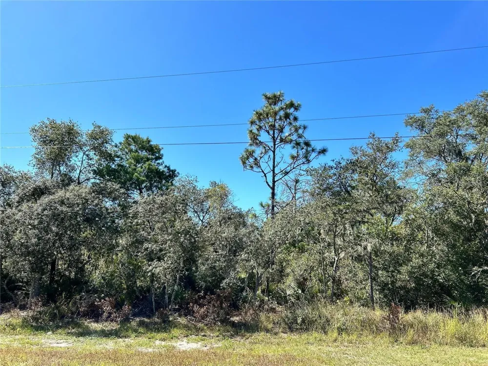 WOODSTORK WAY Frostproof, FL 33843