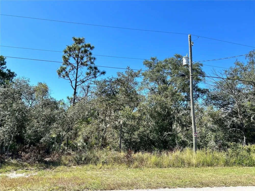 WOODSTORK WAY Frostproof, FL 33843