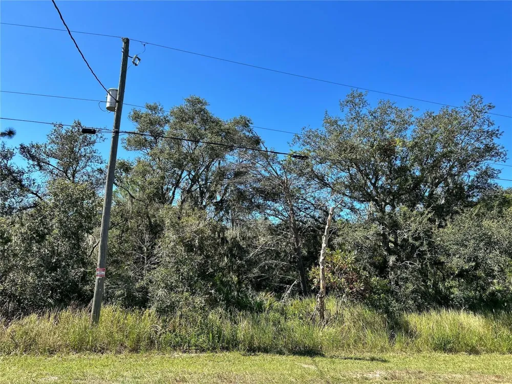 WOODSTORK WAY Frostproof, FL 33843