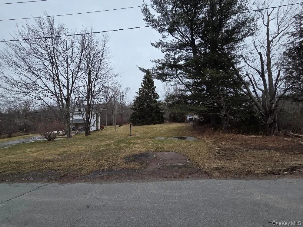TBD State Route 52 White Sulphur Spring, NY 12787
