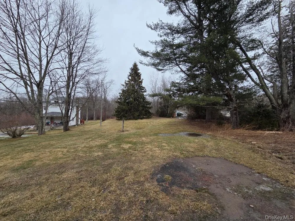 TBD State Route 52 White Sulphur Spring, NY 12787
