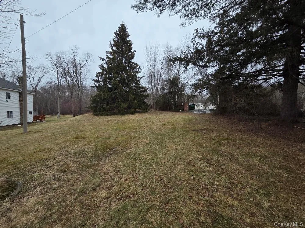 TBD State Route 52 White Sulphur Spring, NY 12787